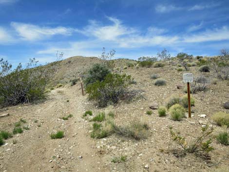 Whitney Wash Loop