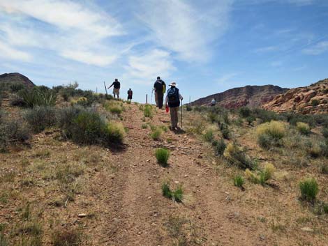 Whitney Wash Loop