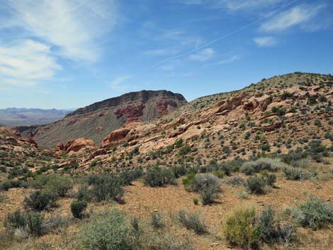 Whitney Wash Loop