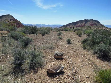 Whitney Wash Loop