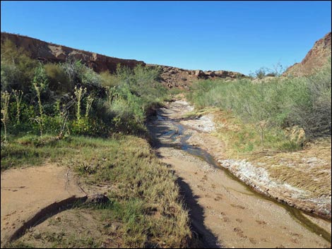 Red Bluff Spring