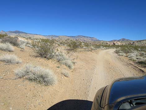 Black Butte Road