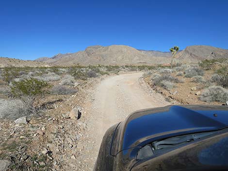 Black Butte Road