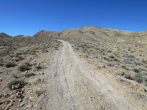 Black Butte Road