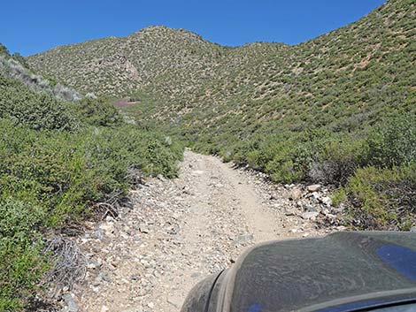 Cabin Canyon Road