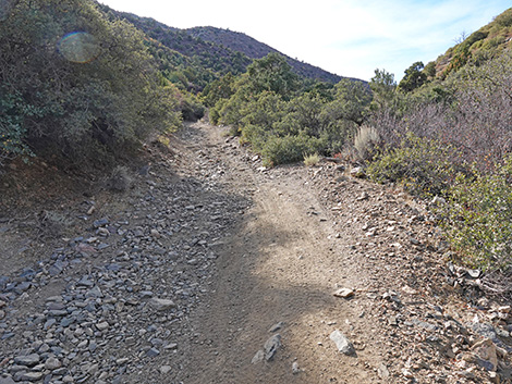 Cabin Canyon Road