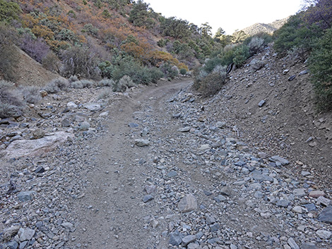 Cabin Canyon Road