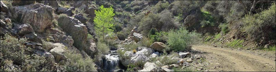 Cabin Canyon Road