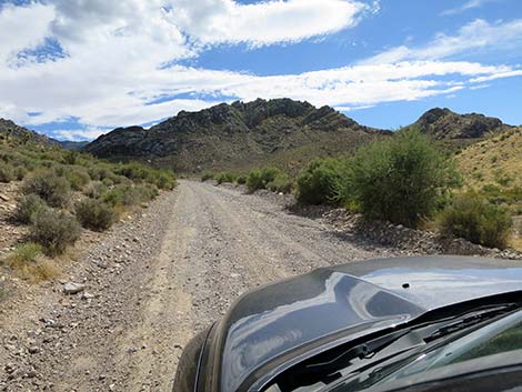 Cabin Canyon Road