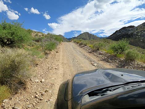 Cabin Canyon Road