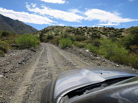 Cabin Canyon Road