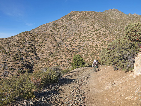 Upper Upper Nickel Canyon Road