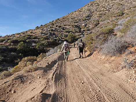 Upper Upper Nickel Canyon Road