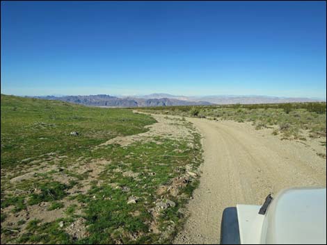 Catclaw Wash Road