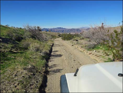 Catclaw Wash Road