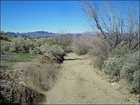 Catclaw Wash Road