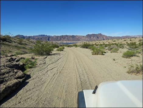 Catclaw Wash Road