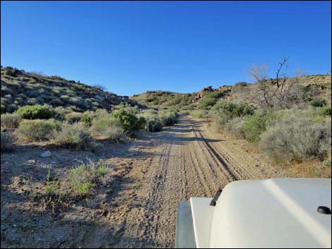 Cedar Basin Road