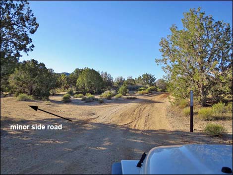 Cedar Basin Road