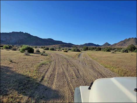 Cedar Basin Road