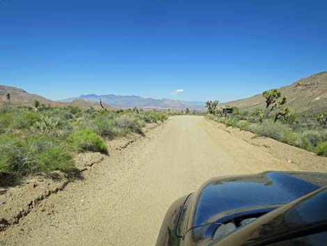 Devils Cove Road