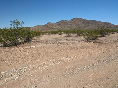 Fisherman Cove Road