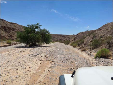 Fisherman Cove Road