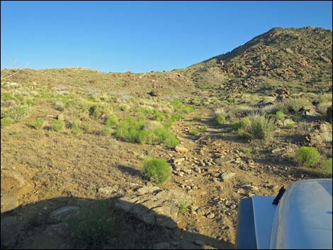 Gold Butte Peak Road