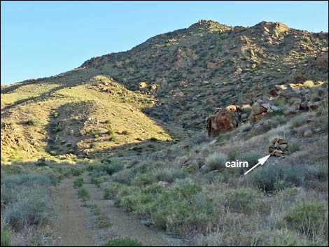 Gold Butte Peak Road