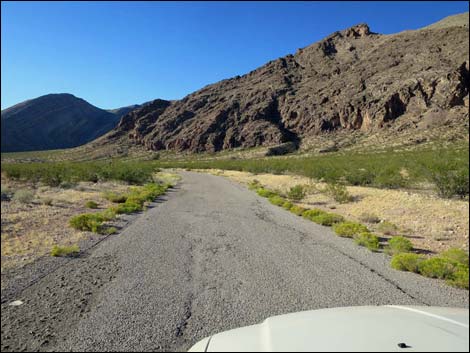 Gold Butte Road