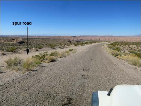 Gold Butte Road