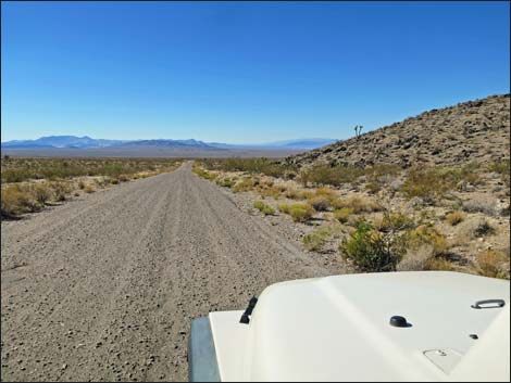 Gold Butte Road