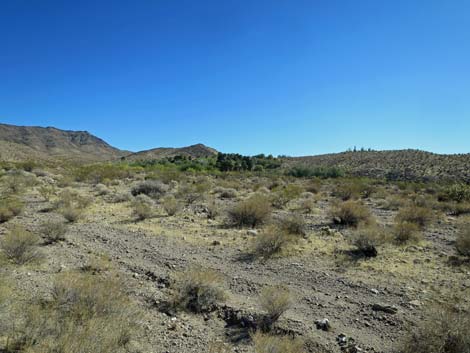 Gold Butte Road