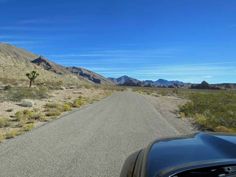 Gold Butte Road