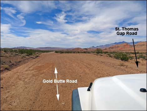 Gold Butte Road