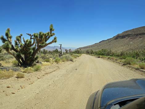 Gold Butte Road