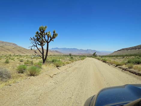 Gold Butte Road