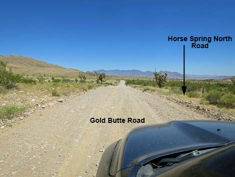 Gold Butte Road