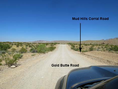 Gold Butte Road