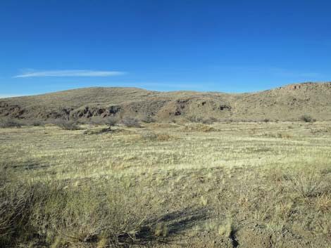 Gold Butte Road