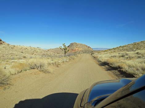 Gold Butte Road