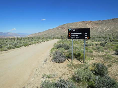 Gold Butte Road