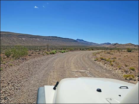 Gold Butte Road