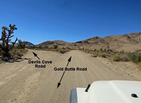 Gold Butte Road