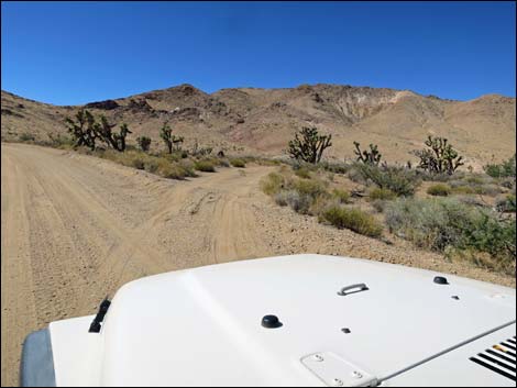 Gold Butte Road