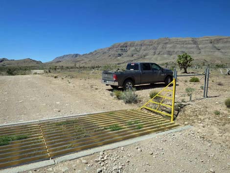 Gold Butte Road