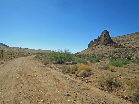 Gold Butte Road