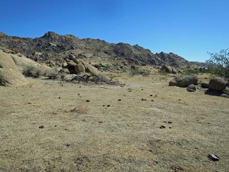 Gold Butte Road