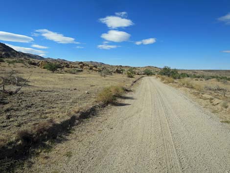 Gold Butte Road