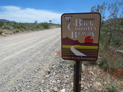 Gold Butte Road